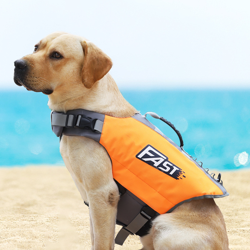 Giubbotto di Salvataggio per C - Life Jacket recensione e prezzo